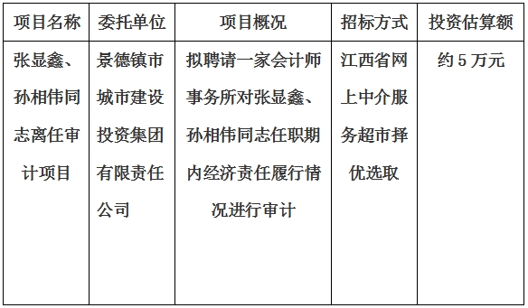 張顯鑫、孫相偉同志離任審計項目計劃公告